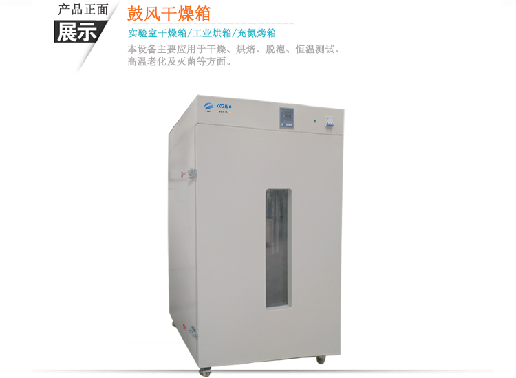 鼓风干燥箱 DHG-9620A